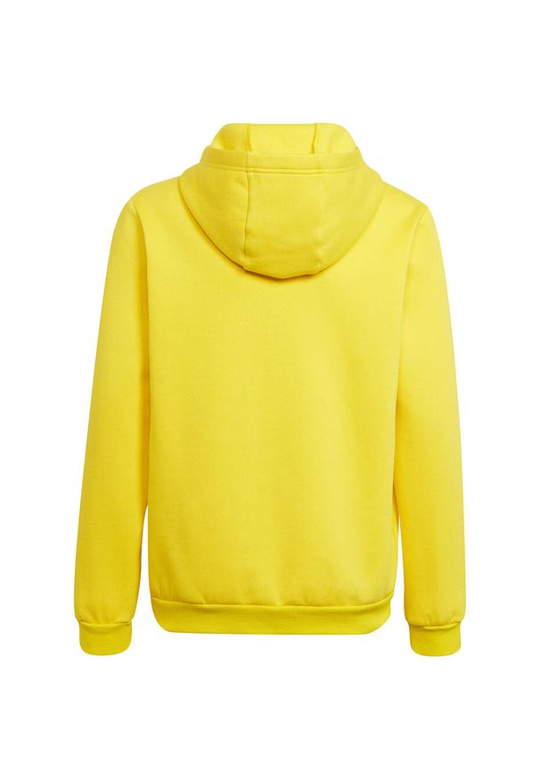 Adidas - Bluza piłkarska dla dzieci adidas Entrada 22 Hoody. Kolor: czarny, żółty, wielokolorowy. Sport: piłka nożna