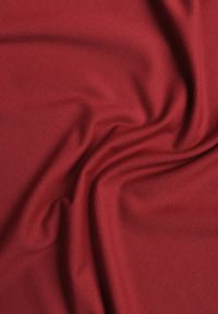 Renee - Bordowa Bluzka Longsleeve Vices z Asymetrycznym Dekoltem Fertie. Okazja: na co dzień. Kolor: czerwony. Materiał: jeans. Długość rękawa: długi rękaw. Długość: długie. Styl: casual, elegancki #9