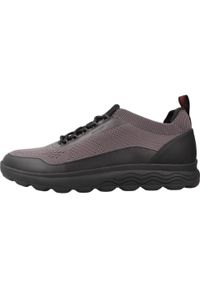 Tenisówki Geox Model U Spherica Kolor Szary. Kolor: szary. Materiał: syntetyk, tkanina