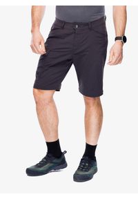 Spodnie turystyczne męskie Helly Hansen Elv Light Zip Off Pant. Kolor: szary
