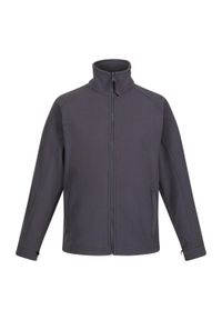 Regatta - Bluza Polarowa Damska Thor III Interactive. Kolor: szary. Materiał: polar. Sezon: zima. Styl: sportowy. Sport: turystyka piesza #1