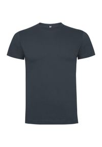 ROLY - Męska Koszulka Dogo Premium. Kolor: brązowy. Sport: turystyka piesza #1