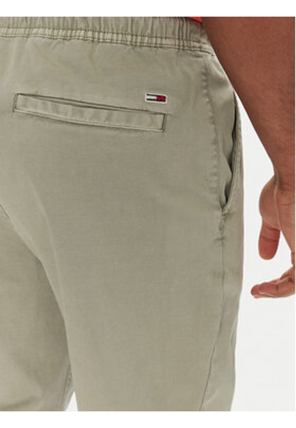 Tommy Jeans Joggery Austin DM0DM20283 Zielony Slim Fit. Kolor: zielony. Materiał: bawełna