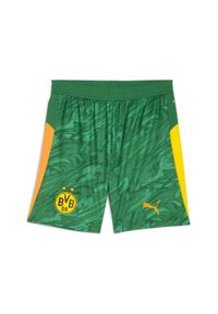 Puma - Męskie szorty bramkarskie Borussia Dortmund 25/26 PUMA. Kolor: zielony, pomarańczowy, wielokolorowy, żółty. Materiał: tkanina. Sport: fitness