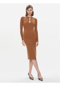 Pinko Sukienka dzianinowa Leone 101845 A15S Brązowy Slim Fit. Kolor: brązowy. Materiał: wełna