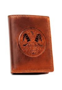 Portfel skórzany Peterson znak zodiaku PTN N4-EBS brązowy. Kolor: brązowy. Materiał: skóra