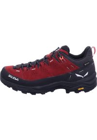 Buty trekkingowe damskie Salewa Alp Trainer 2 Gtx. Kolor: wielokolorowy. Materiał: skóra. Szerokość cholewki: normalna