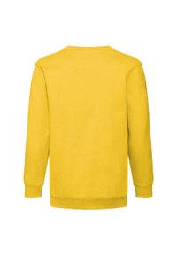 FRUIT OF THE LOOM - Bluza Dziecięca Premium W Komplecie. Kolor: żółty, pomarańczowy, wielokolorowy