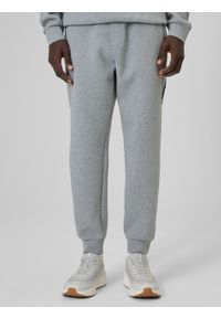 4f - 4F Spodnie dresowe joggery męskie - szare XXL. Kolor: szary. Materiał: dresówka. Sport: fitness #2