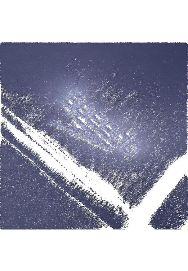 Spodenki kąpielówki męskie Speedo Eco End. Kolor: czarny. Materiał: poliester