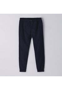 Cropp - Dresowe spodnie jogger - Granatowy. Kolor: niebieski. Materiał: dresówka #1