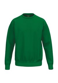 ERIMA - Bluza dziecięca Erima TS. Kolor: zielony. Materiał: bawełna, materiał