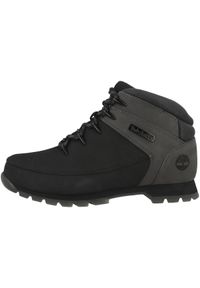 Buty trekkingowe męskie Timberland Euro Sprint. Wysokość cholewki: za kostkę. Zapięcie: sznurówki. Kolor: czarny. Materiał: materiał, skóra, tkanina, syntetyk. Szerokość cholewki: normalna. Sport: bieganie