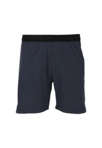 VIRTUS - Szorty Virtus Blag V2. Kolor: niebieski. Sport: fitness
