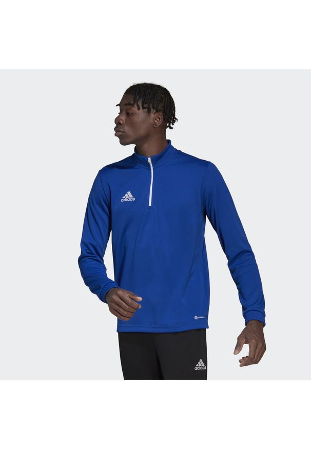 Bluza piłkarska męska Adidas Entrada 22 Training Top. Kolor: niebieski. Sport: piłka nożna