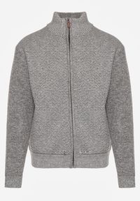 Born2be - Szary Kardigan w Jodełkę na Suwak z Polarową Wyściółką Iwedara. Okazja: na co dzień. Kolor: szary. Materiał: polar. Wzór: jodełka. Styl: casual, sportowy #1