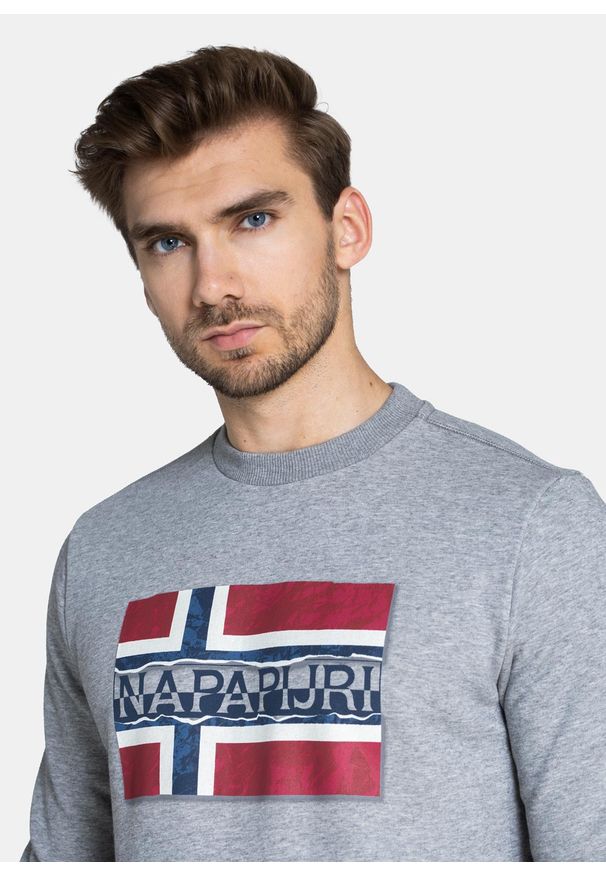 Bluza męska Napapijri Bench C (NP0A4FQZ1601). Kolor: szary