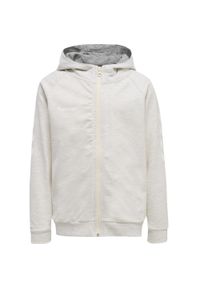 Bluza do piłki nożnej dla dzieci Hummel hmlGO Zip z kapturem. Typ kołnierza: kaptur. Kolor: szary
