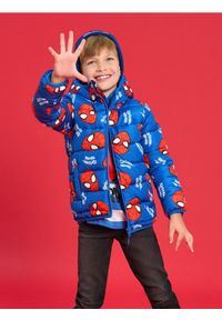 Sinsay - Pikowana kurtka z kapturem Spider-Man - niebieski. Typ kołnierza: kaptur. Kolor: niebieski #1