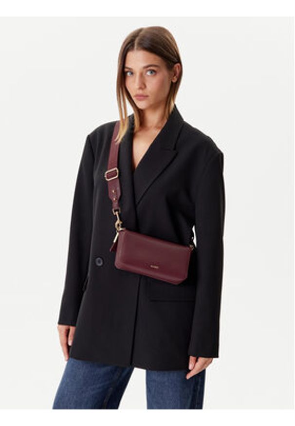 Aldo Torebka Gwendy 14141566 Bordowy. Kolor: czerwony. Materiał: skórzane