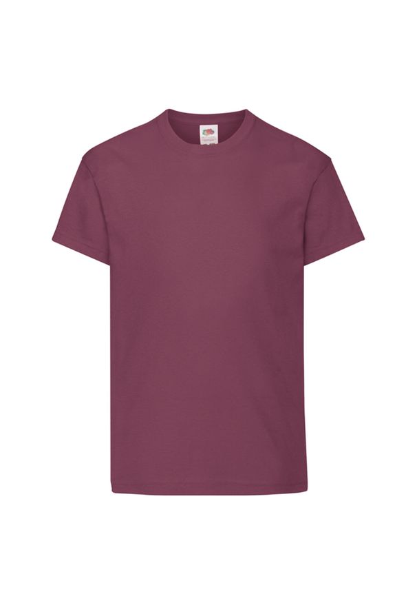 FRUIT OF THE LOOM - Oryginalna Koszulka Dla Dzieci. Kolor: czerwony, wielokolorowy, brązowy. Sport: turystyka piesza