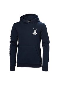 Bluza z kapturem dla dzieci Helly Hansen Graphic. Typ kołnierza: kaptur. Kolor: niebieski. Materiał: bawełna #1