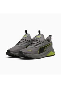 Puma Buty Amplifier 39686738. Kolor: szary