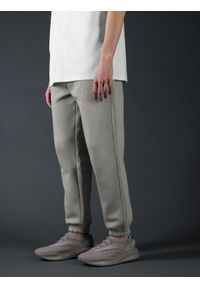 4f - Spodnie dresowe joggery z bawełną organiczną męskie 4F x Robert Lewandowski. Kolor: szary. Materiał: dresówka, bawełna. Wzór: nadruk