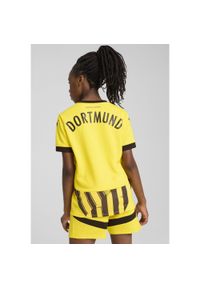Puma - Młodzieżowa koszulka pucharowa Borussia Dortmund 24/25 PUMA Faster Yellow Black. Kolor: żółty, wielokolorowy, czarny