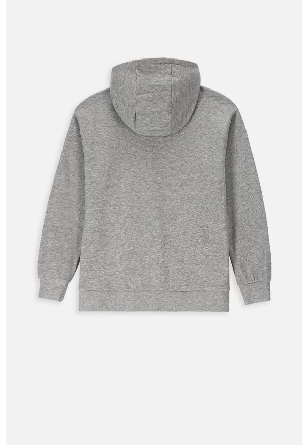 Lemon Explore - Bluza sportowa dziecięcy Lemon Exlopre ZL3 z kapturem. Typ kołnierza: kaptur. Kolor: szary. Materiał: bawełna, wiskoza. Wzór: nadruk. Sport: turystyka piesza