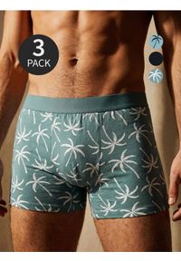 Sinsay - Bawełniane bokserki 3 pack - wielobarwny. Materiał: bawełna #1