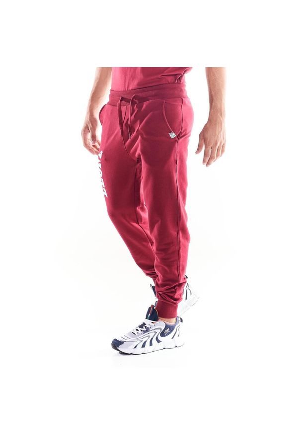 LEONE 1947 APPAREL - Spodnie męskie Leone 1947 Apparel. Kolor: czerwony. Materiał: tkanina. Sport: fitness