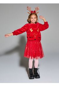 Sinsay - Ocieplana bluza crewneck z haftem - czerwony. Kolor: czerwony. Wzór: haft #1