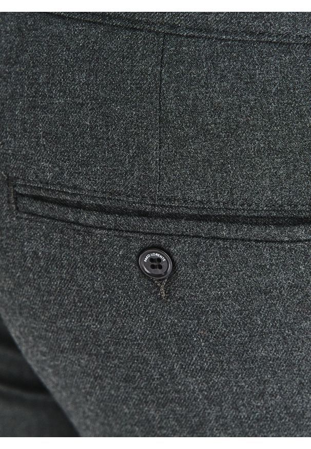 Pako Lorente - PAKO LORENTE - Grafitowe spodnie męskie. Kolor: szary. Materiał: wiskoza, elastan, poliester. Wzór: gładki. Sezon: jesień, zima. Styl: klasyczny