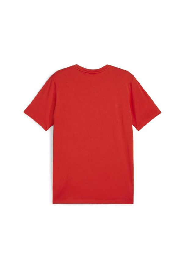 Koszulka męska Puma Team Goal Casuals Tee. Kolor: czerwony. Materiał: materiał