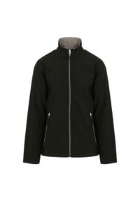 Regatta - Kurtka Softshellowa Męska Jeden Kolor Tkanina Dwuwarstwowa Ascender. Kolor: szary, wielokolorowy, czarny. Materiał: tkanina. Sport: turystyka piesza #1