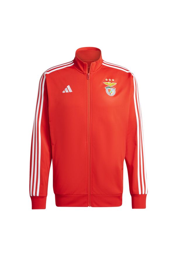 Adidas - Kurtka z dresu Benfica Lisbonne DNA 2024/25. Kolor: czerwony. Materiał: dresówka. Sport: piłka nożna