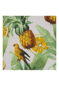 Poszetka Bawełniana - His Story - Papuga, Ananas, Dżungla. Kolor: wielokolorowy. Materiał: bawełna