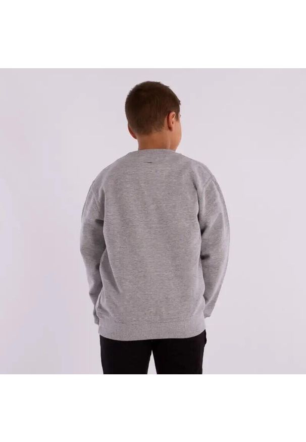 Softee - Bluza dziecięca SOFTEE Owen, okrągły dekolt, długie rękawy, rozmiar 4. Kolor: szary. Długość rękawa: długi rękaw. Długość: długie