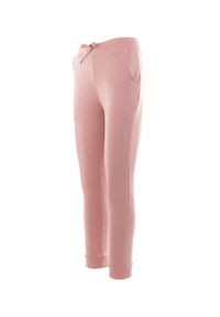 Born2be - Różowe Spodnie Dresowe Celaphine. Kolor: różowy. Materiał: dresówka. Sport: turystyka piesza #3