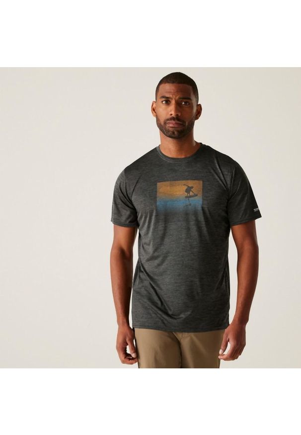 Regatta - Koszulka turystyczna męska Fingal IX. Kolor: szary. Materiał: tkanina, poliester. Sport: turystyka piesza