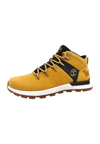 Buty Outdoorowe męskie Timberland Sprint trekker. Okazja: do pracy. Kolor: brązowy. Sezon: zima. Obcas: na obcasie. Wysokość obcasa: średni. Sport: bieganie