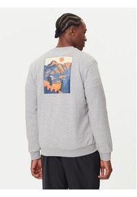 Adidas - adidas Bluza Doodle Hunt Hike Graphic JM6503 Szary Regular Fit. Kolor: szary. Materiał: bawełna