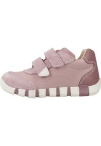 Geox - Buty GEOX B IUPIDOO GIRL Rose. Kolor: różowy. Materiał: skóra. Sport: turystyka piesza