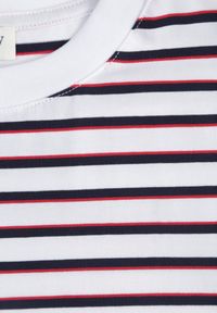 Born2be - Wielokolorowa Pudełkowa Sukienka z Bawełny w Poziome Paski Diove. Okazja: do pracy, na co dzień, na spacer. Kolor: wielokolorowy. Materiał: bawełna. Wzór: paski. Typ sukienki: proste. Styl: klasyczny, casual #4