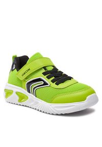 Geox Sneakersy J Assister Boy J45DZC 014CE C3707 D Zielony. Kolor: zielony. Materiał: mesh, materiał #7