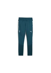 Spodnie Puma Neymar Jr Creativity Training Pants Jr, Dzieci. Kolor: pomarańczowy, niebieski, wielokolorowy. Materiał: poliester, materiał. Sport: piłka nożna