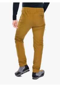 Spodnie turystyczne męskie Rab Incline Light Pants. Kolor: żółty