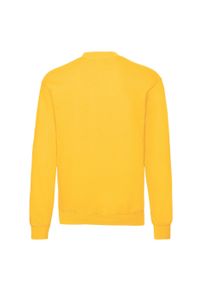 FRUIT OF THE LOOM - Klasyczna Bluza Rozpinana Unisex Dla Dorosłych. Kolor: żółty, pomarańczowy, wielokolorowy