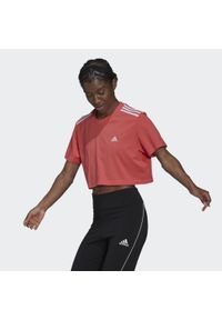 Koszulka damska Adidas Cropped różowa krótka bawełniana. Kolor: pomarańczowy. Materiał: bawełna. Długość: krótkie